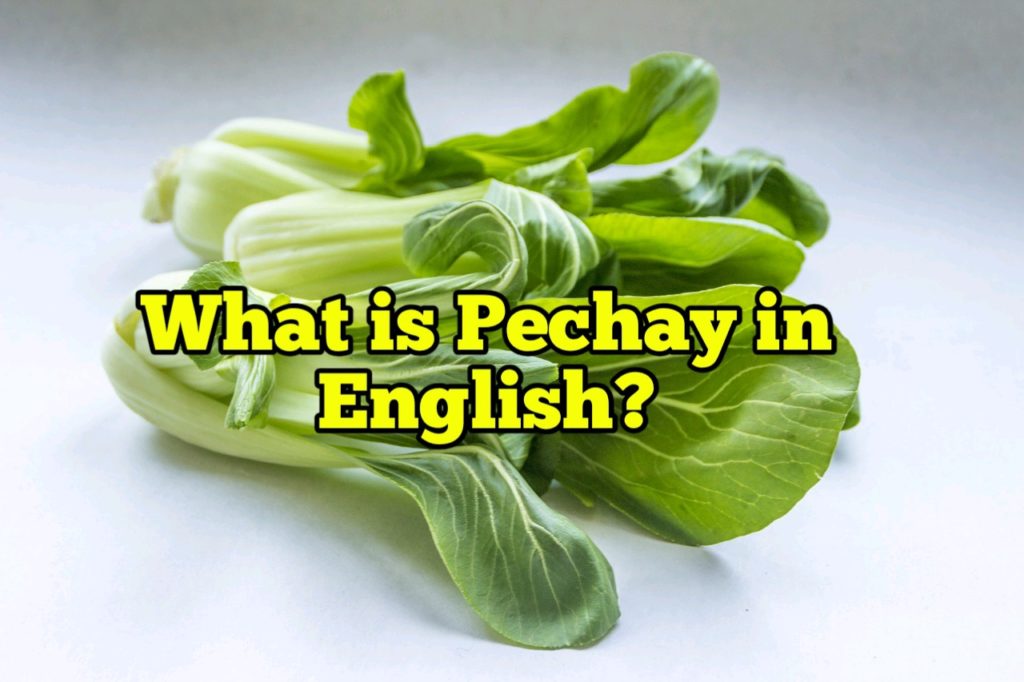 What is Pechay in English