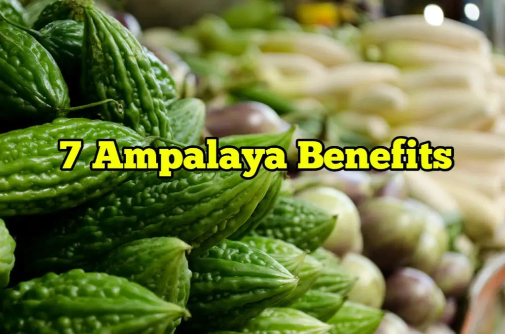 Ampalaya Benefits