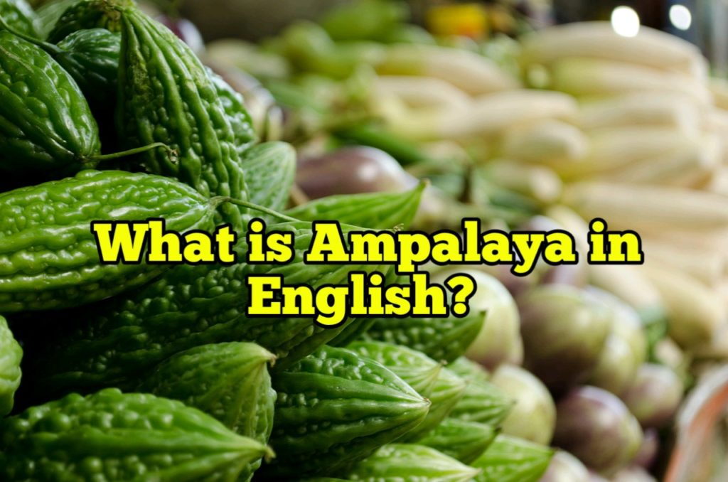 What is Ampalaya in English