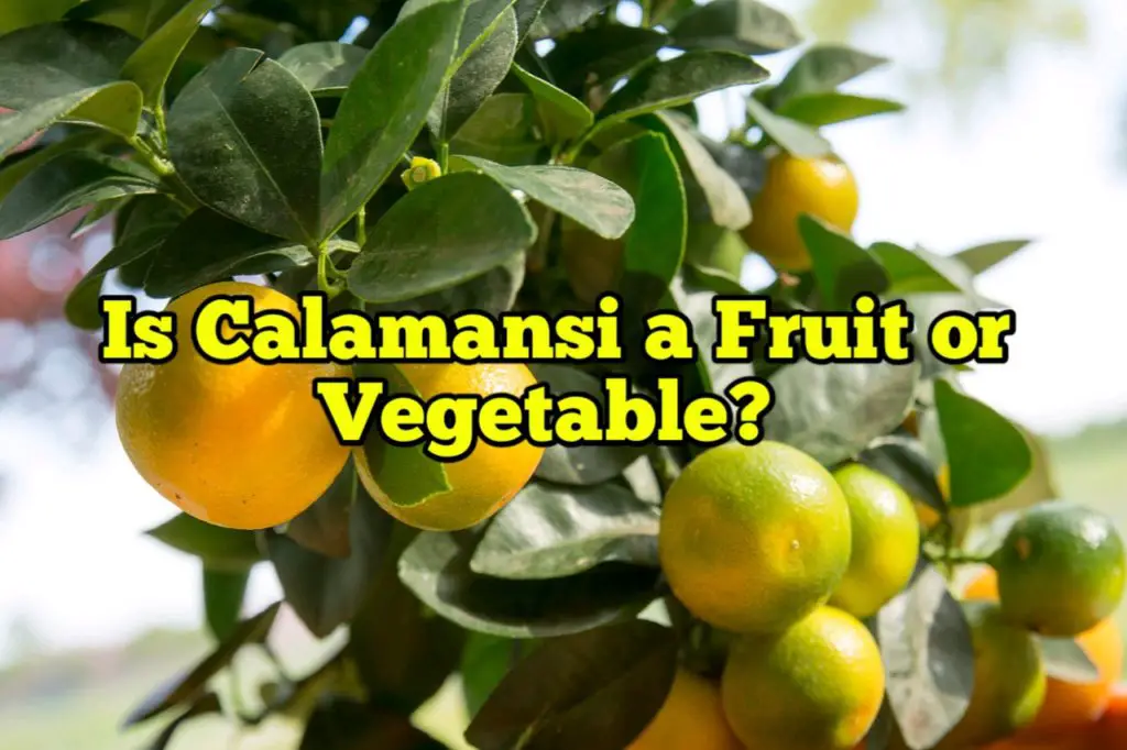 Is Calamansi a fruit or vegetable