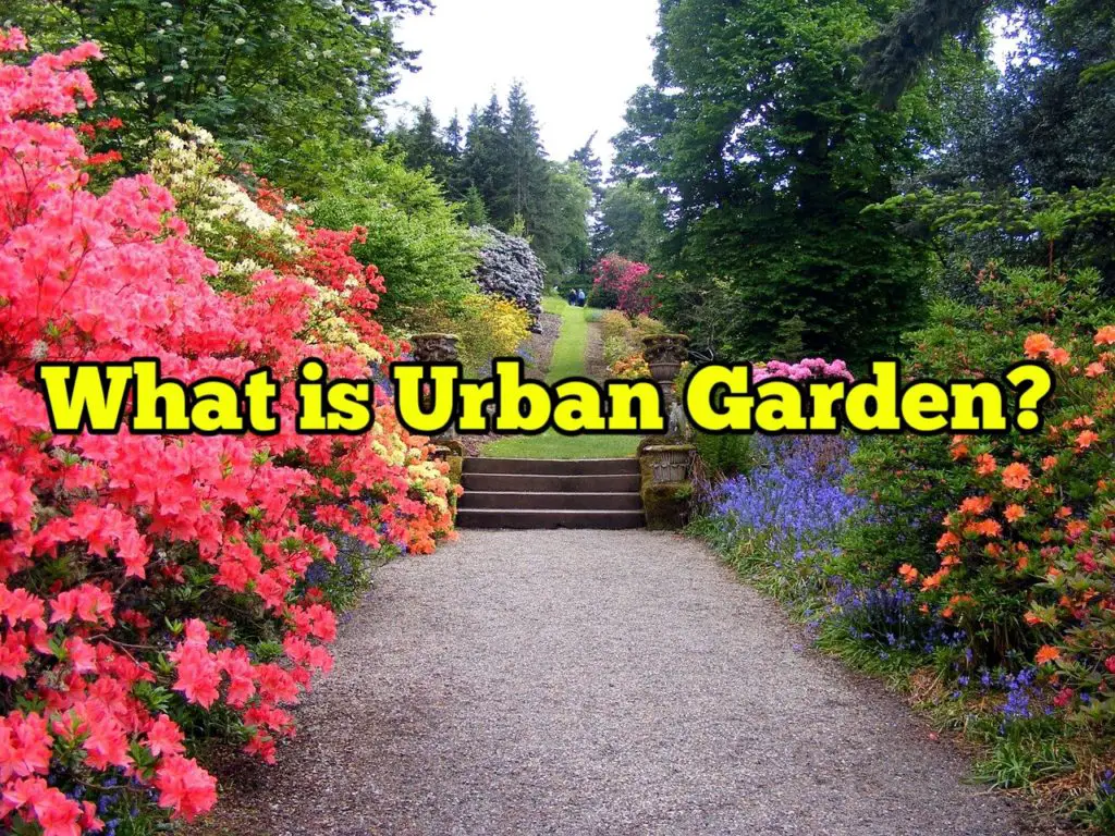What is Urban garden