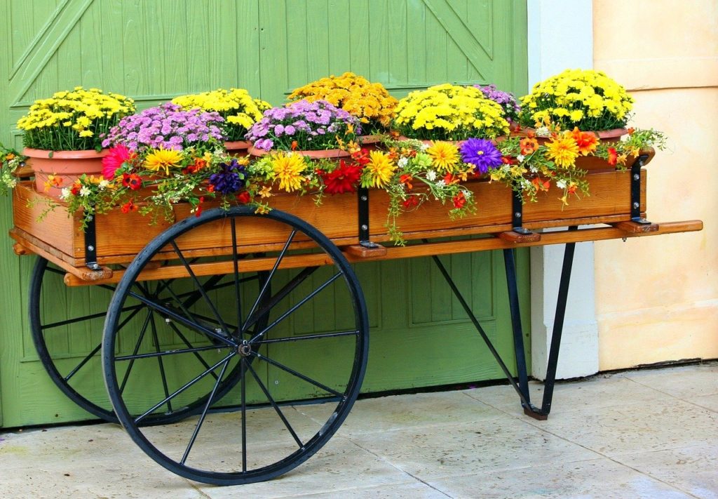 urban garden design ideas