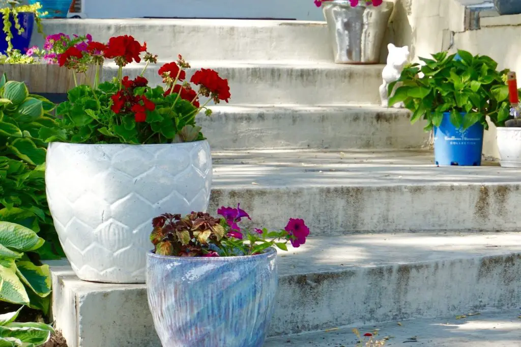 urban garden design ideas containers on stairs