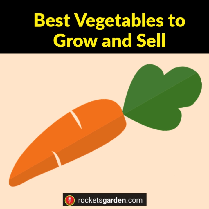 Best Vegetables to Grow and Sell