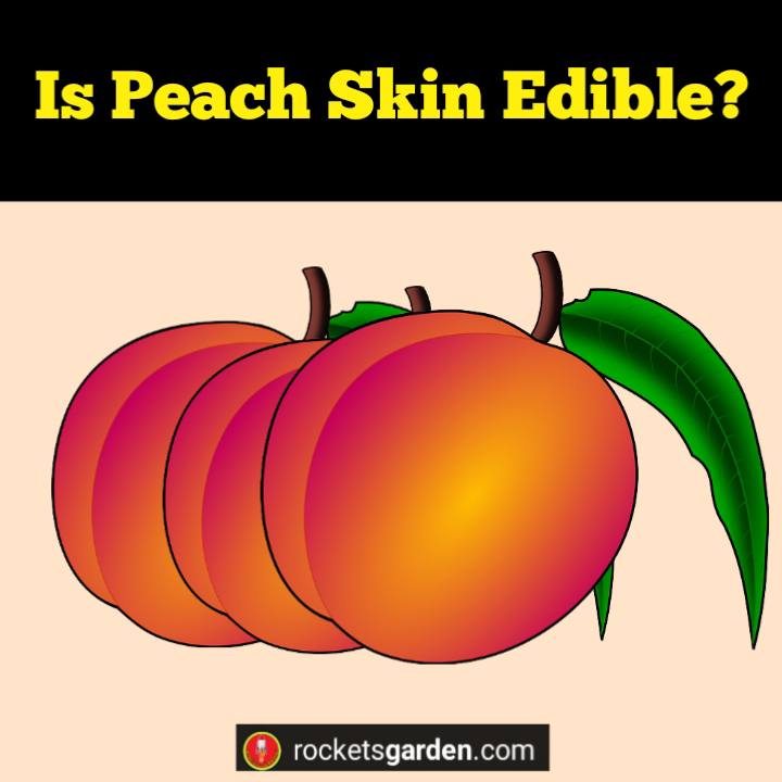 is peach skin edible
