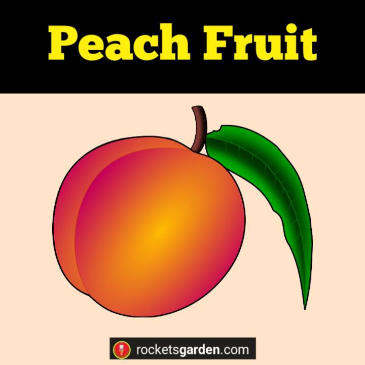 Peach Fruit