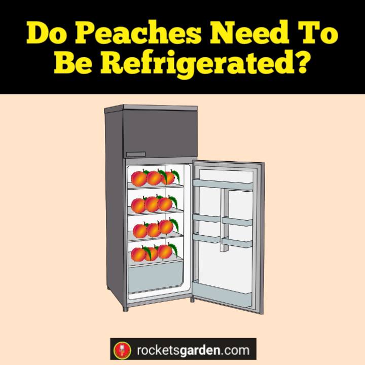 do peaches need to be refrigerated