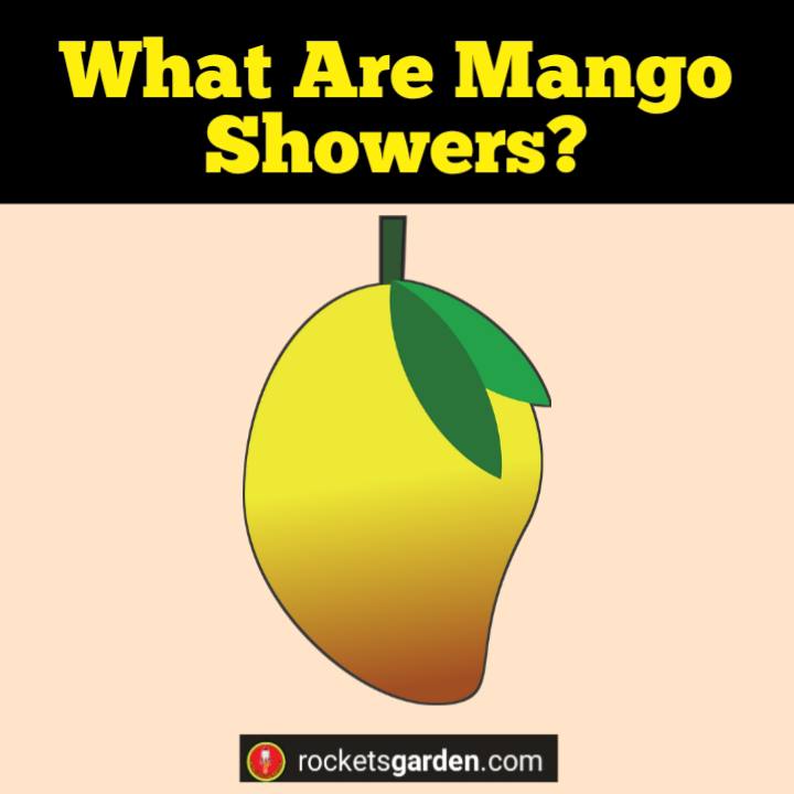 what are mango showers