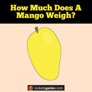 How Much Does A Mango Weigh? (How Much Do These Tropical Delights Tip ...