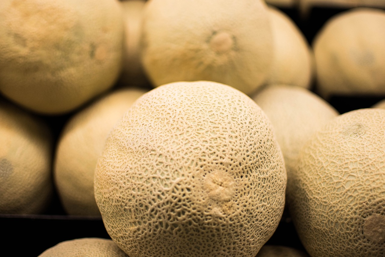 how many cantaloupes per plant