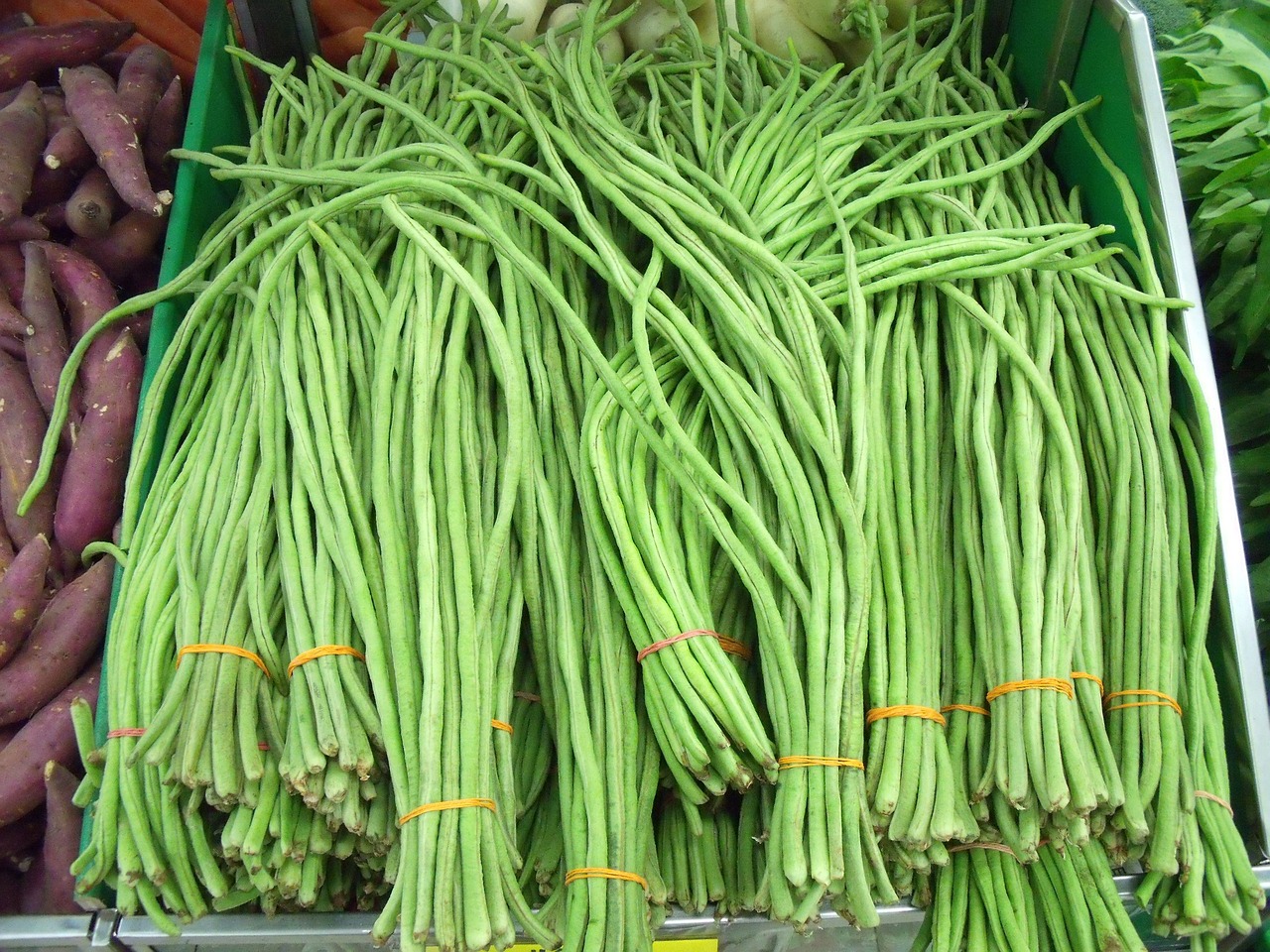 when to pick string beans