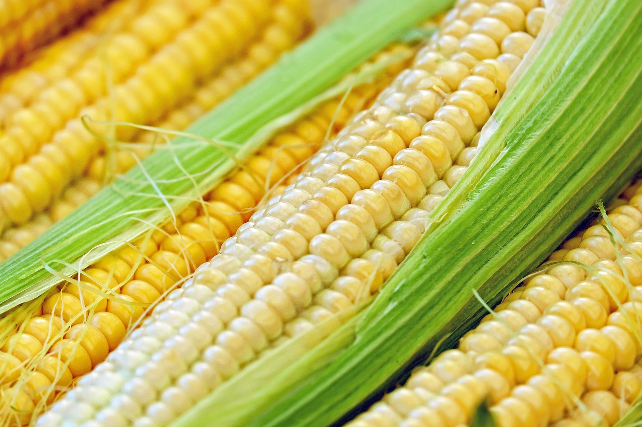 corn companion plants
