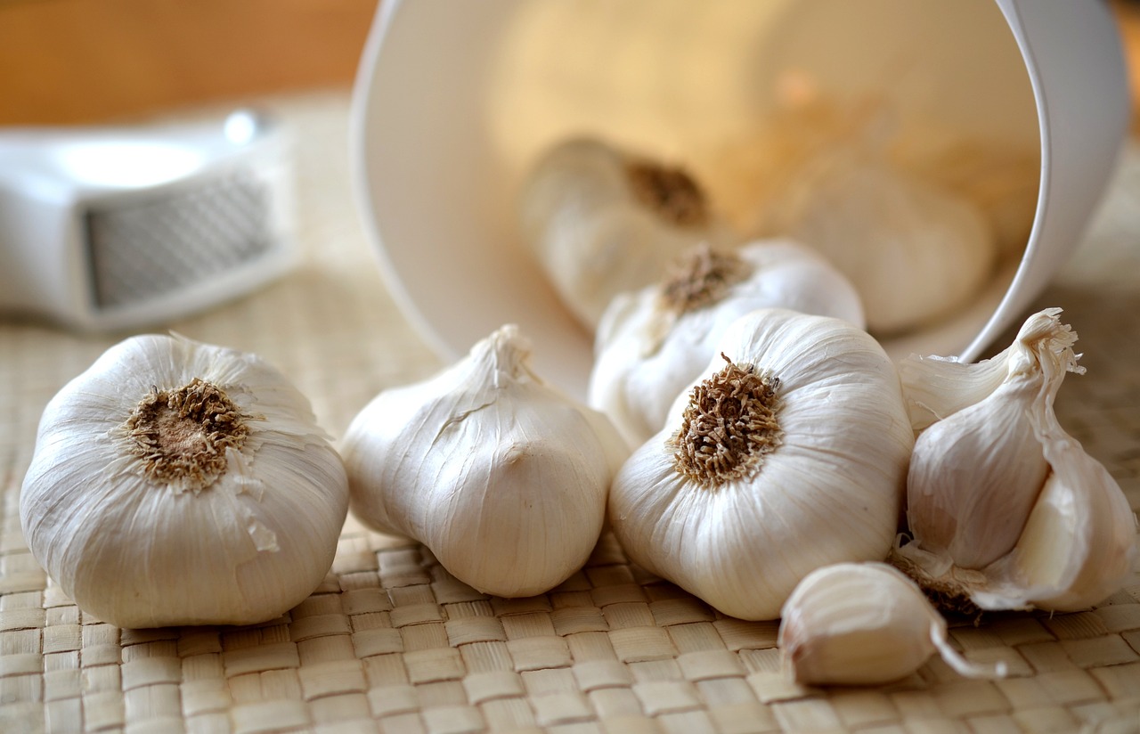 garlic companion plants
