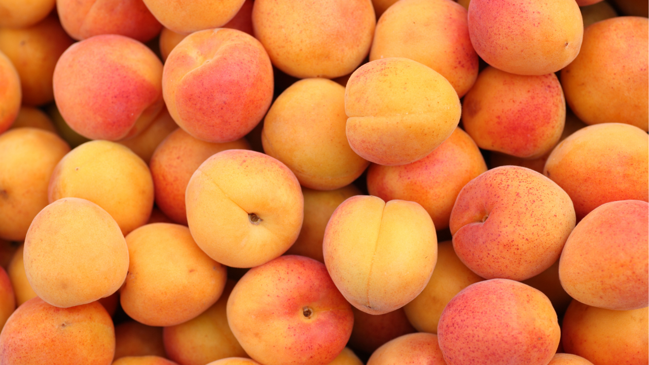 are apricots good for you