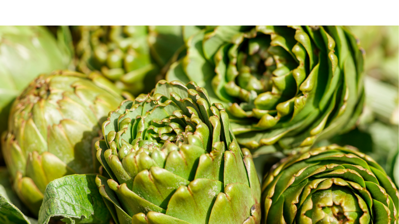 are artichokes good for you
