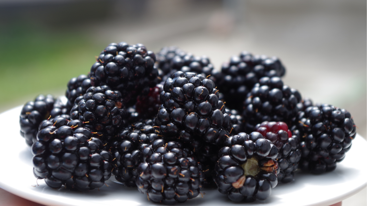 are blackberries good for you