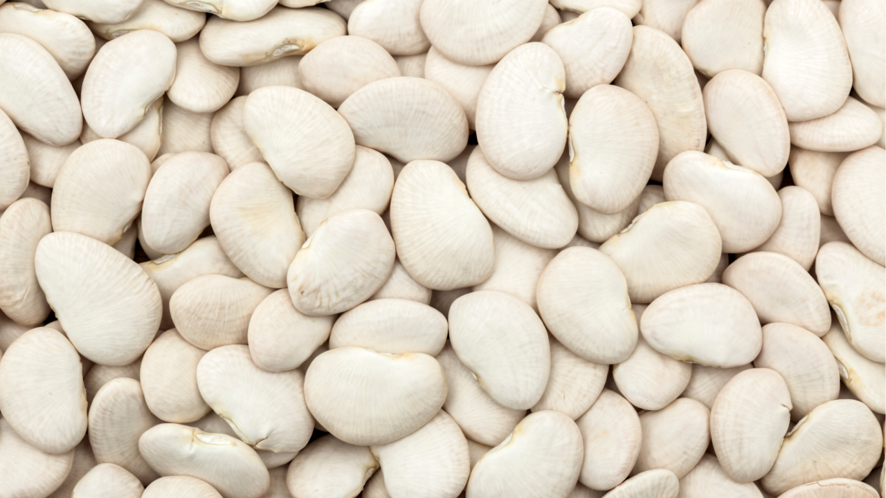 are butter beans good for you