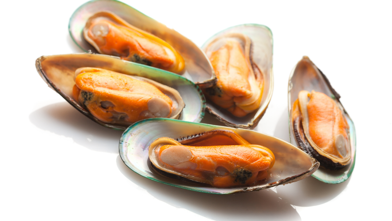 are mussels good for you