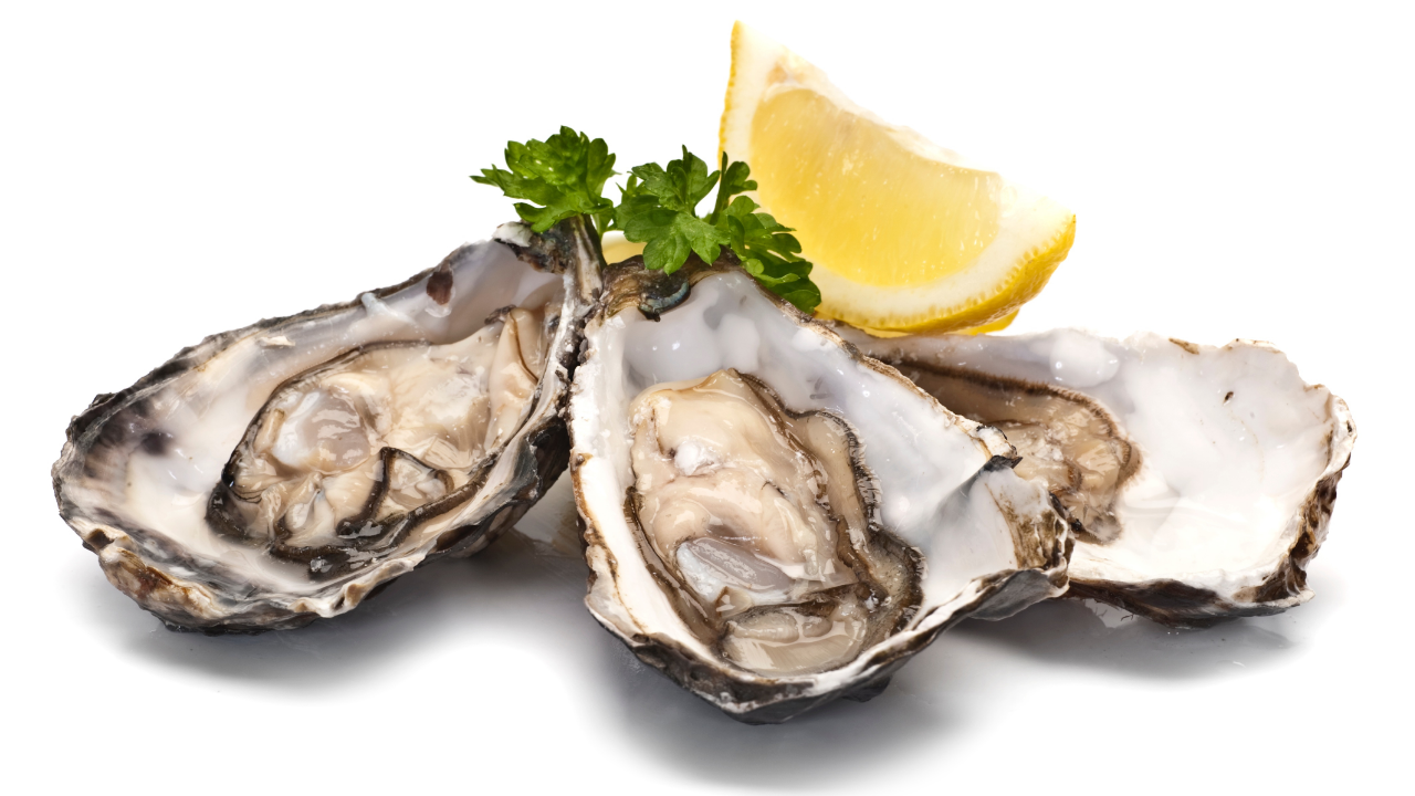 are oysters good for you