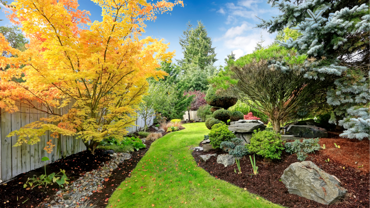 tropical garden design