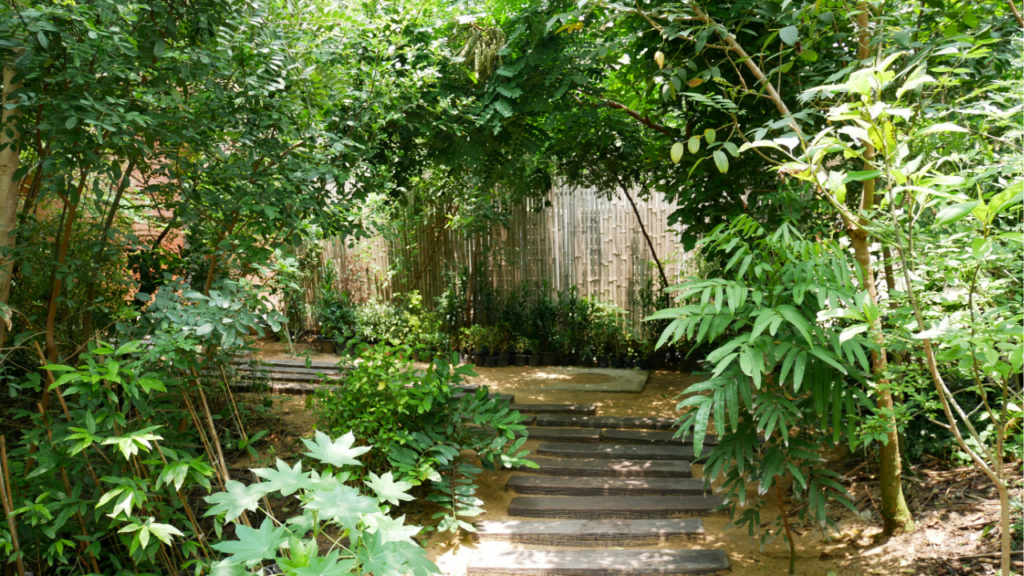 tropical garden design