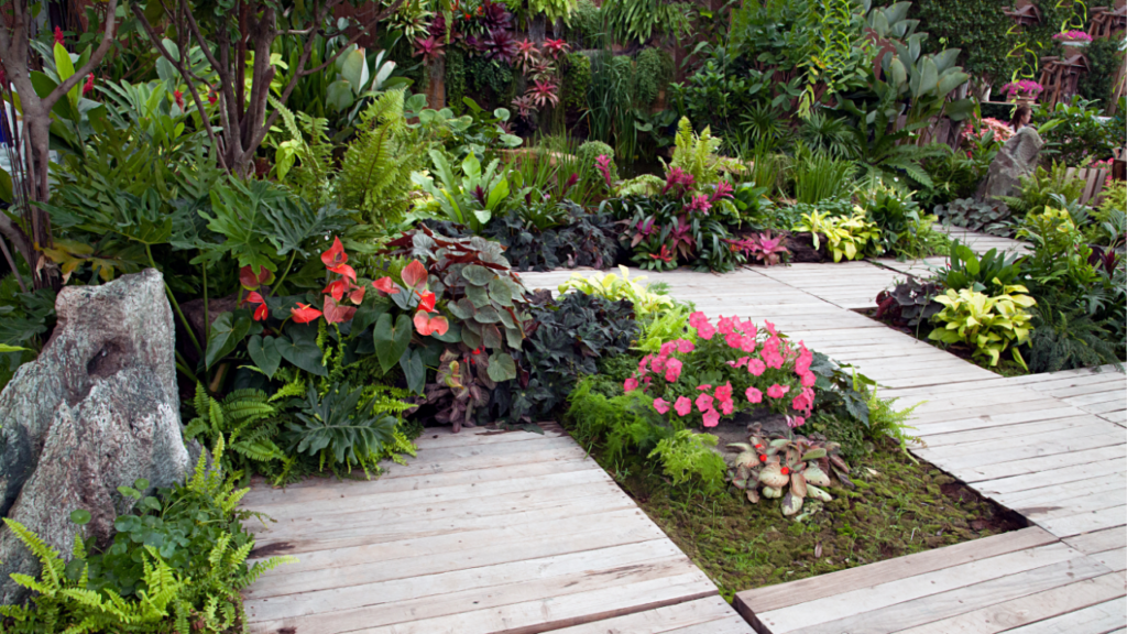 tropical garden design