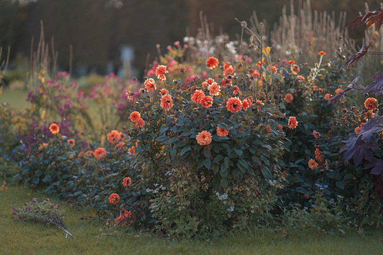 winter garden