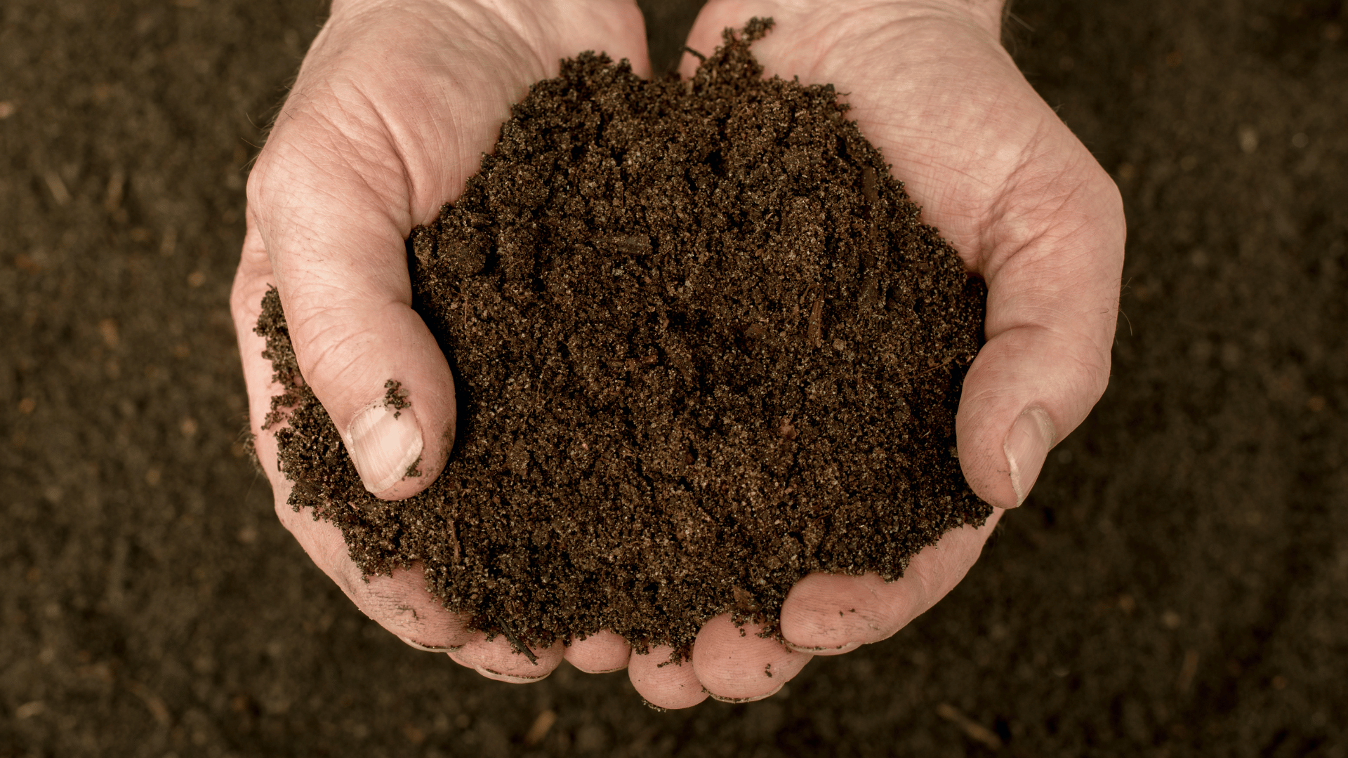 composting tips for beginners