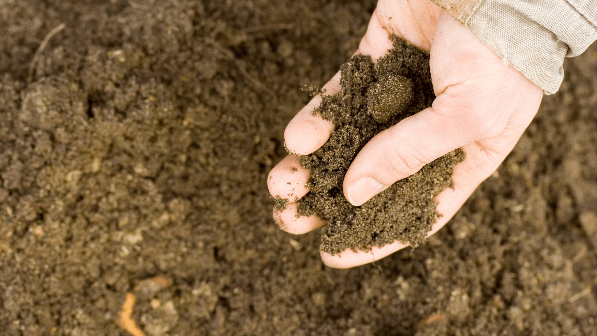 how to make soil acidic